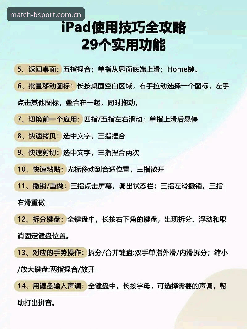 资深用户解密：bsport赛事数据服务使用技巧，从入门到精通的实战心得